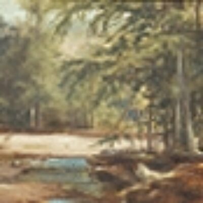 Homer Dodge Martin