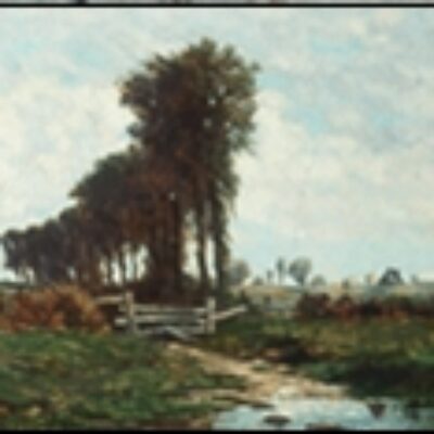 Country Scene
